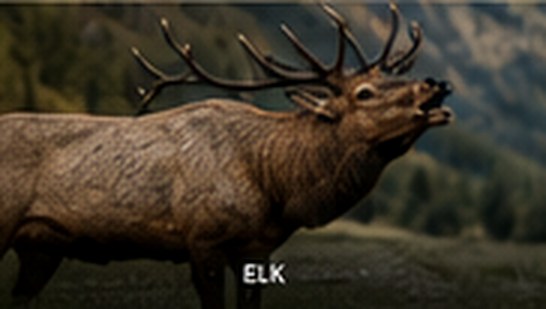 Bull Elk